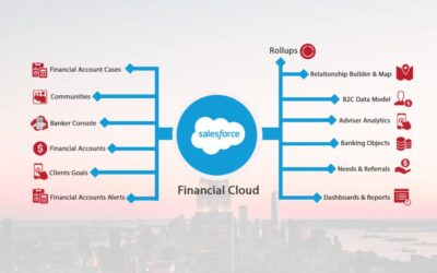 SALESFORCE FINANCIAL SERVICES CLOUD